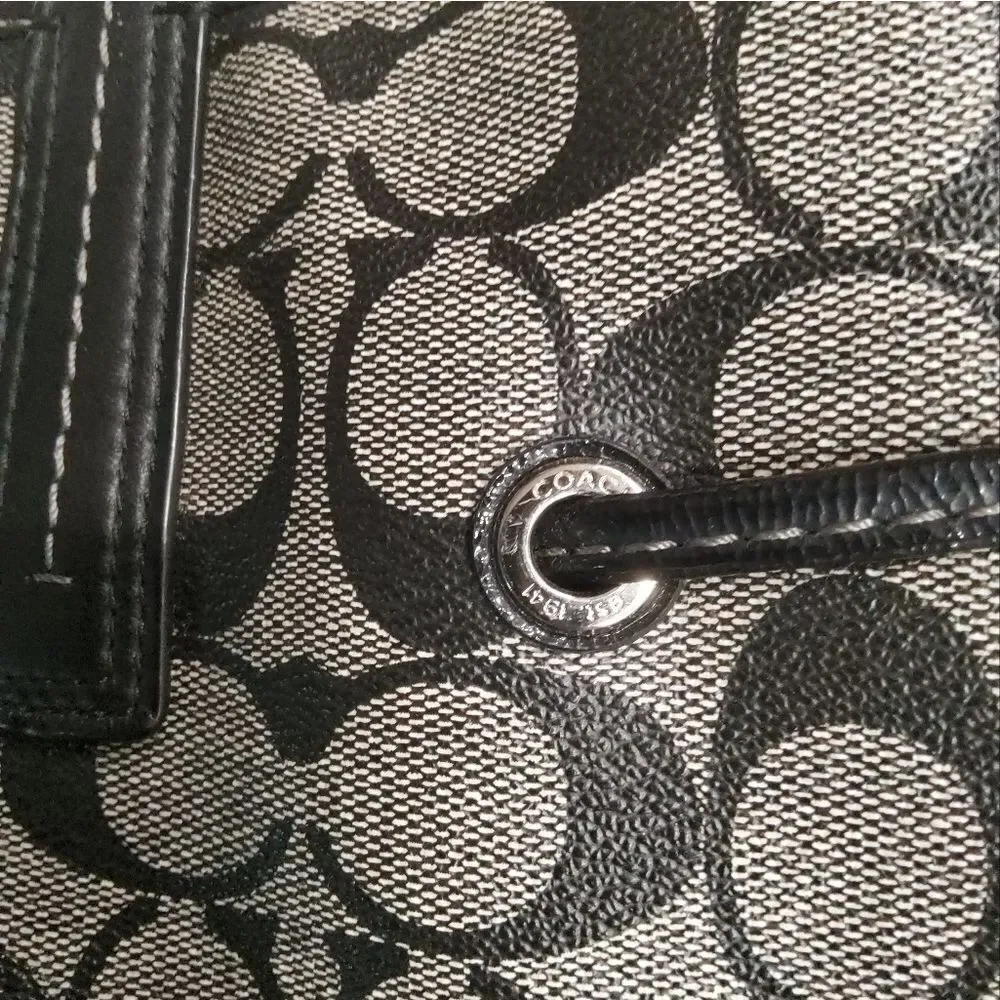 Coach Signature Stripe Carryall Tote